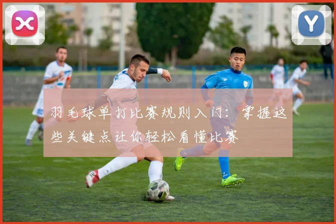 羽毛球单打比赛规则入门：掌握这些关键点让你轻松看懂比赛