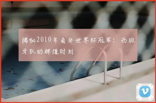 揭秘2010年南非世界杯冠军：西班牙队的辉煌时刻
